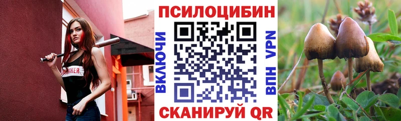 kraken онион  Сосенский  Галлюциногенные грибы мухоморы 