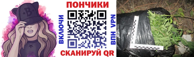KRAKEN   Сосенский  Бошки марихуана Ganja 
